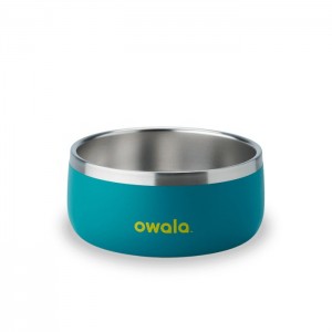 Owala Pet Bowl 3 cups Pet Bowl Turquoise USA | AO7-22702