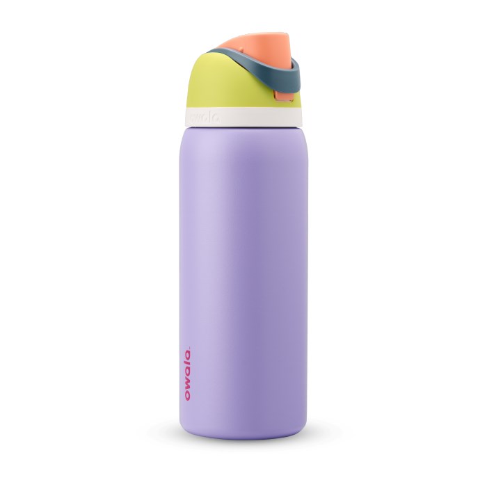 Owala FreeSip 32oz Stainless Steel Water Bottle Purple USA | KI4-68676