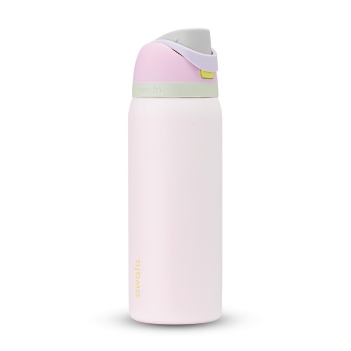 Owala FreeSip 32oz Stainless Steel Water Bottle Light Pink / Light Purple USA | NA3-03840