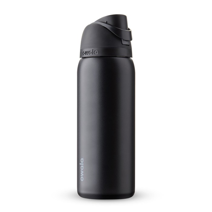 Owala FreeSip 32oz Stainless Steel Water Bottle Black USA | XT8-19291