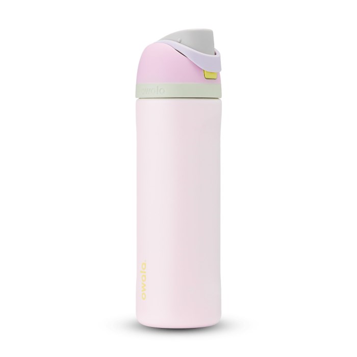 Owala FreeSip Stainless Steel 24oz Water Bottle Light Pink / Light Purple USA | EY1-95499