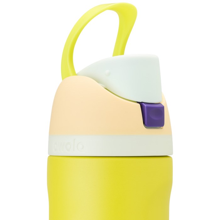 Owala FreeSip Stainless Steel 24oz Water Bottle Yellow USA | YL1-99999