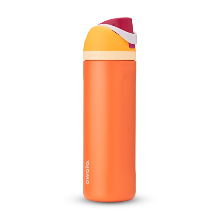 Owala FreeSip Stainless Steel 24oz Water Bottle Orange USA | IQ6-99799