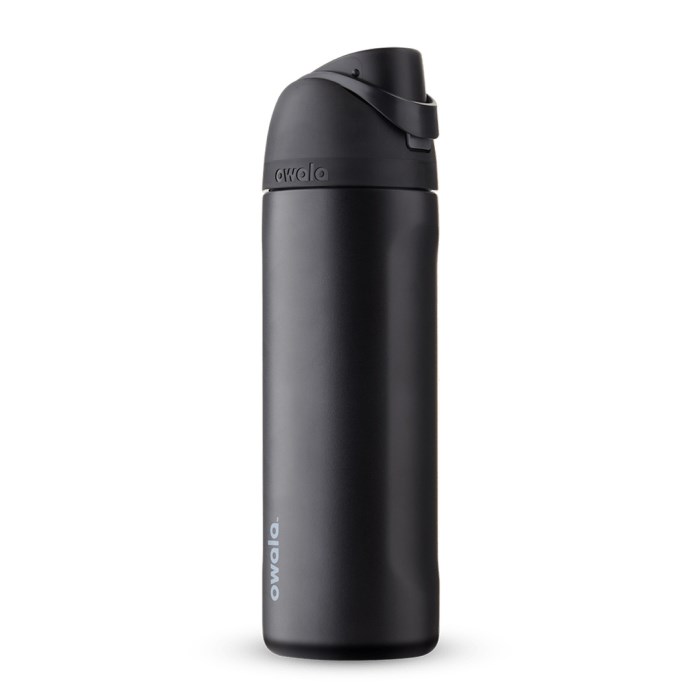 Owala FreeSip Stainless Steel 24oz Water Bottle Black USA | NU0-40254